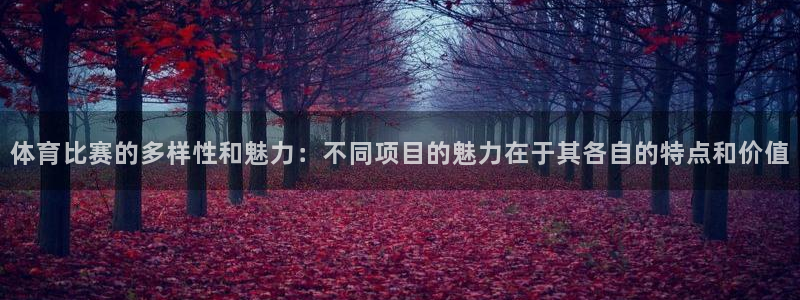 体育比赛的多样性和魅力：不同项目的魅力在于其各自的特点和价值