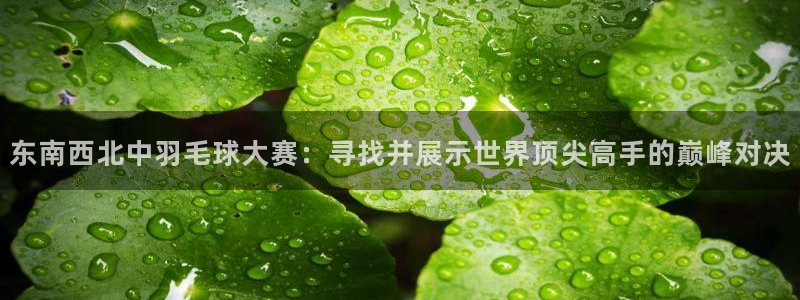 东南西北中羽毛球大赛：寻找并展示世界顶尖高手的巅峰对决