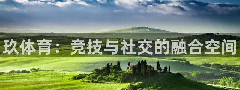 玖体育：竞技与社交的融合空间