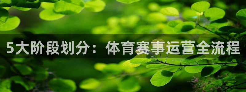 5大阶段划分：体育赛事运营全流程