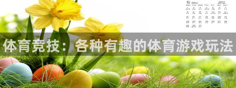 体育竞技：各种有趣的体育游戏玩法