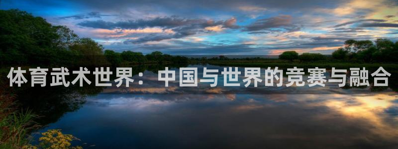 体育武术世界：中国与世界的竞赛与融合