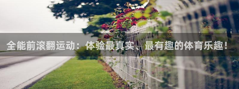 全能前滚翻运动：体验最真实、最有趣的体育乐趣！