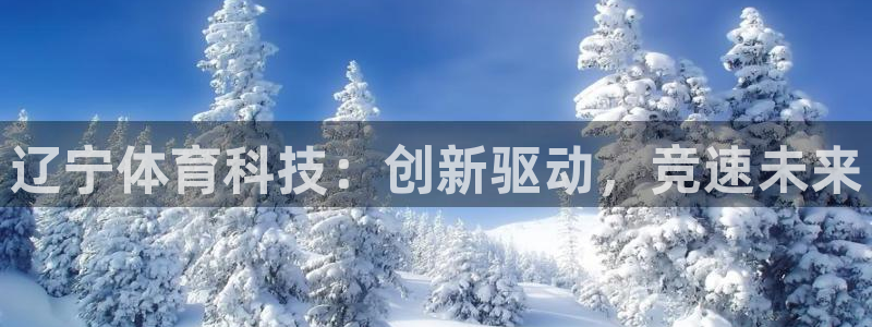辽宁体育科技：创新驱动，竞速未来